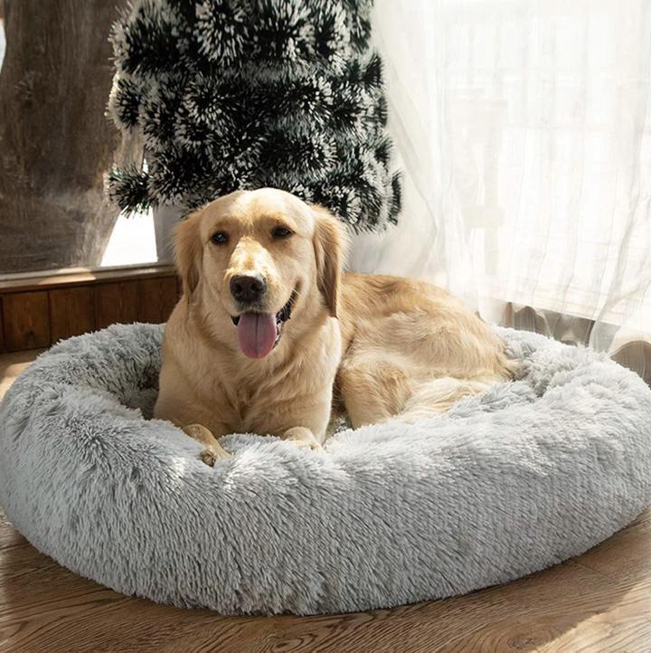 Cozy Calming Dog Soft Bed